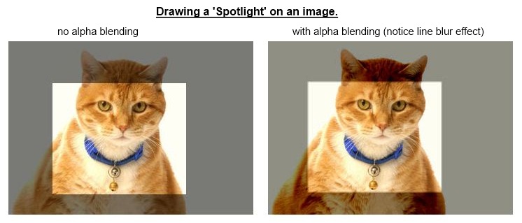 edit-fat-cat-istock.jpg