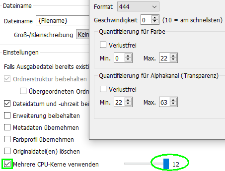 avif multi bug settings.png