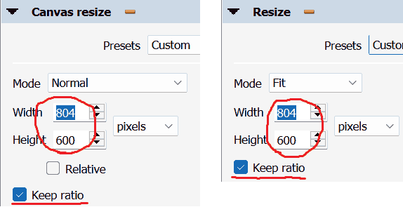 batch_convert_keep_ratio.png