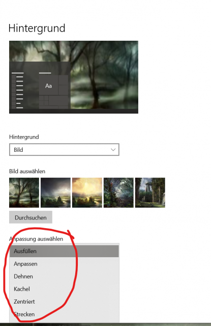 Screenshot 2023-03-04 165153.png
