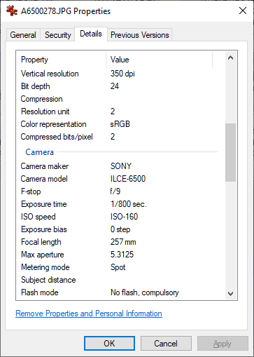 Snag_135e7134.png