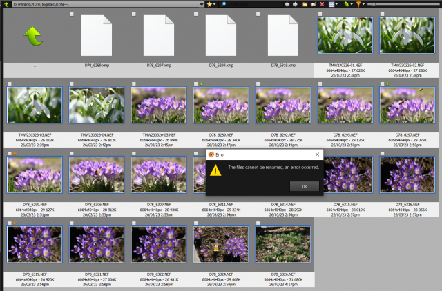 Screenshot 2023-03-26 171528.png