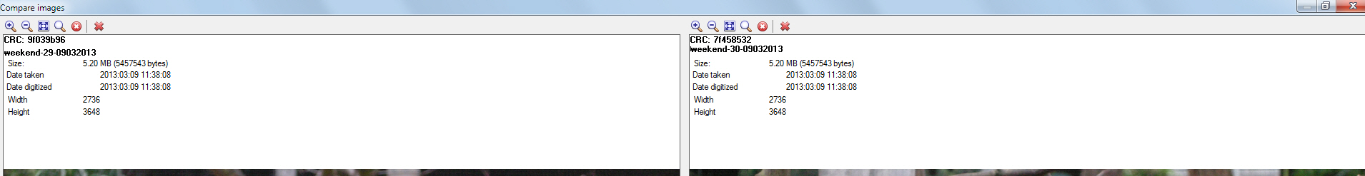 SnagIt-180313-111837.jpg