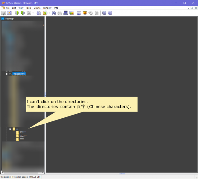 XnView bug.png