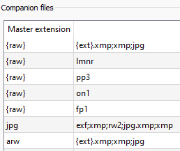 01_companion_settings.png