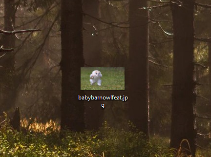 but on my desktop the thumbnail still looks like the unedited original