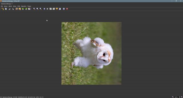this photo was edited in xnview, cropped and rotated