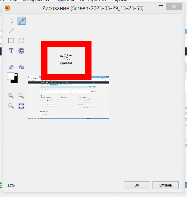 XnViewMP_cursor_bug.png