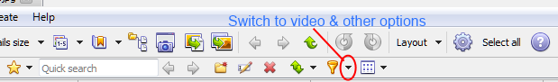 XnView Video Optionss.png