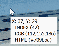 show_information.png