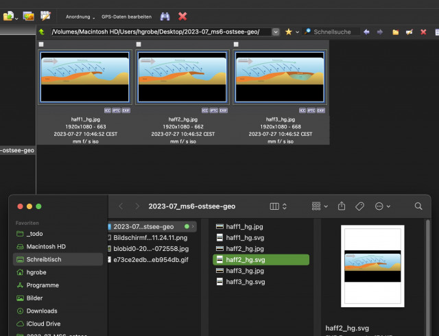 screen shot of svg-files not shown in xnview