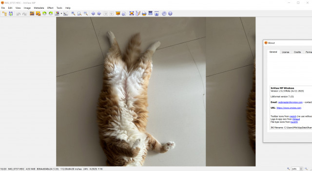 XnView_Display.jpg