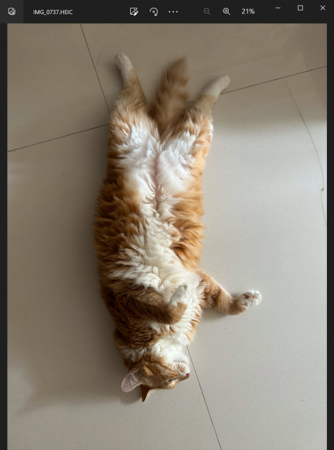 Photos_app_Display.jpg