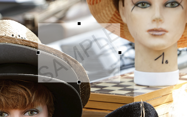 watermark anchors.png