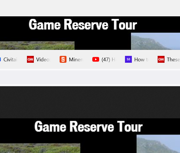 100 percent display quality XnView.png