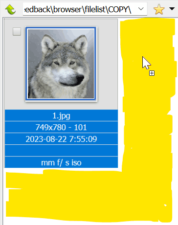 copy.png