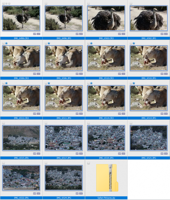 xnview selecting images.png
