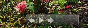 Clipboard-1.png