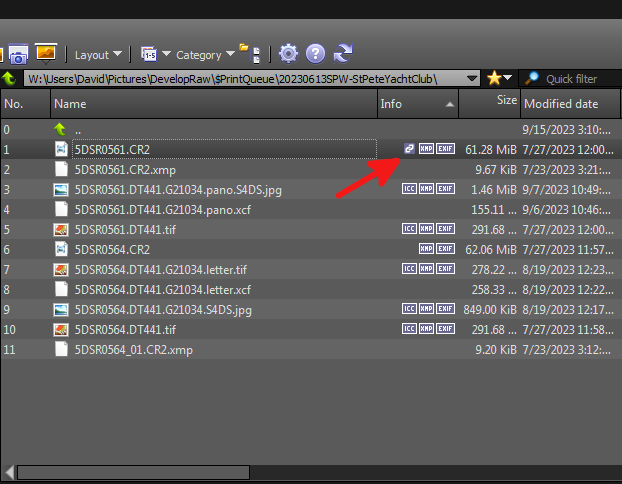 XnViewMP-FileListA.png