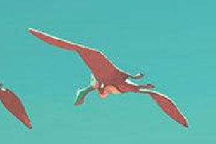 view with 100% zoom