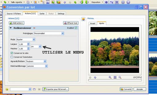 Fenêtre_ConversionParLot-Redimensionner.jpg