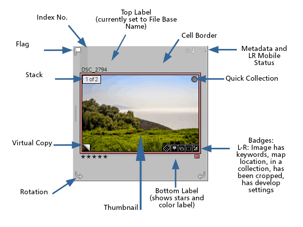 badges-diagram.png