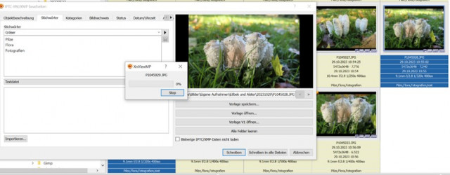 Screenshot XN.jpg