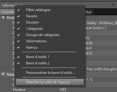 XNViewMP_Clic droit Informations.png