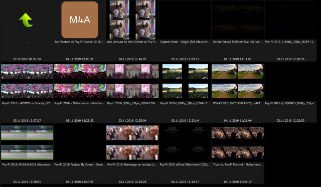 Folder - Festival Videos