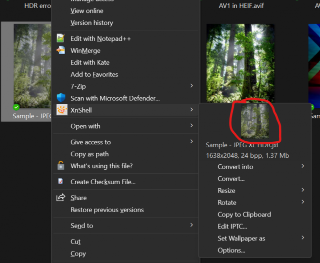 231217 - XnView Shell Extension does not use ICC profile for thumbnails - Right click preview.png