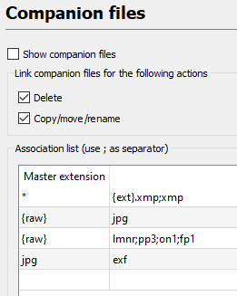 XnView MP Companion Files Settings