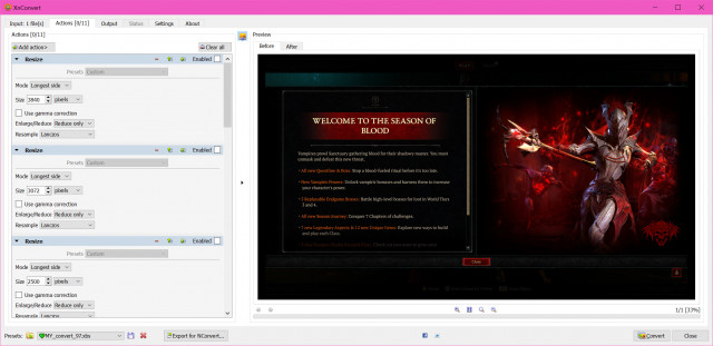 BEFORE - identical image position inside BEFORE/AFTER (state after double clicking on Update Preview button)