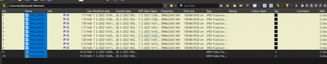 xnview_details_tag_glitch.PNG