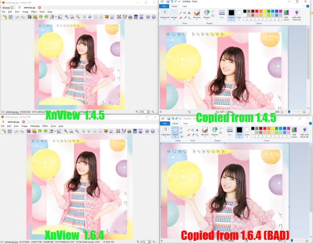 xnview bug.png