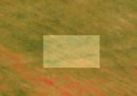 Image_4.png