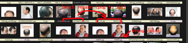 螢幕擷取畫面 2024-03-03 133957 拷貝.png