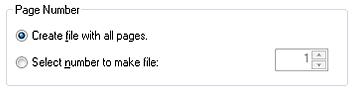 page_num.JPG