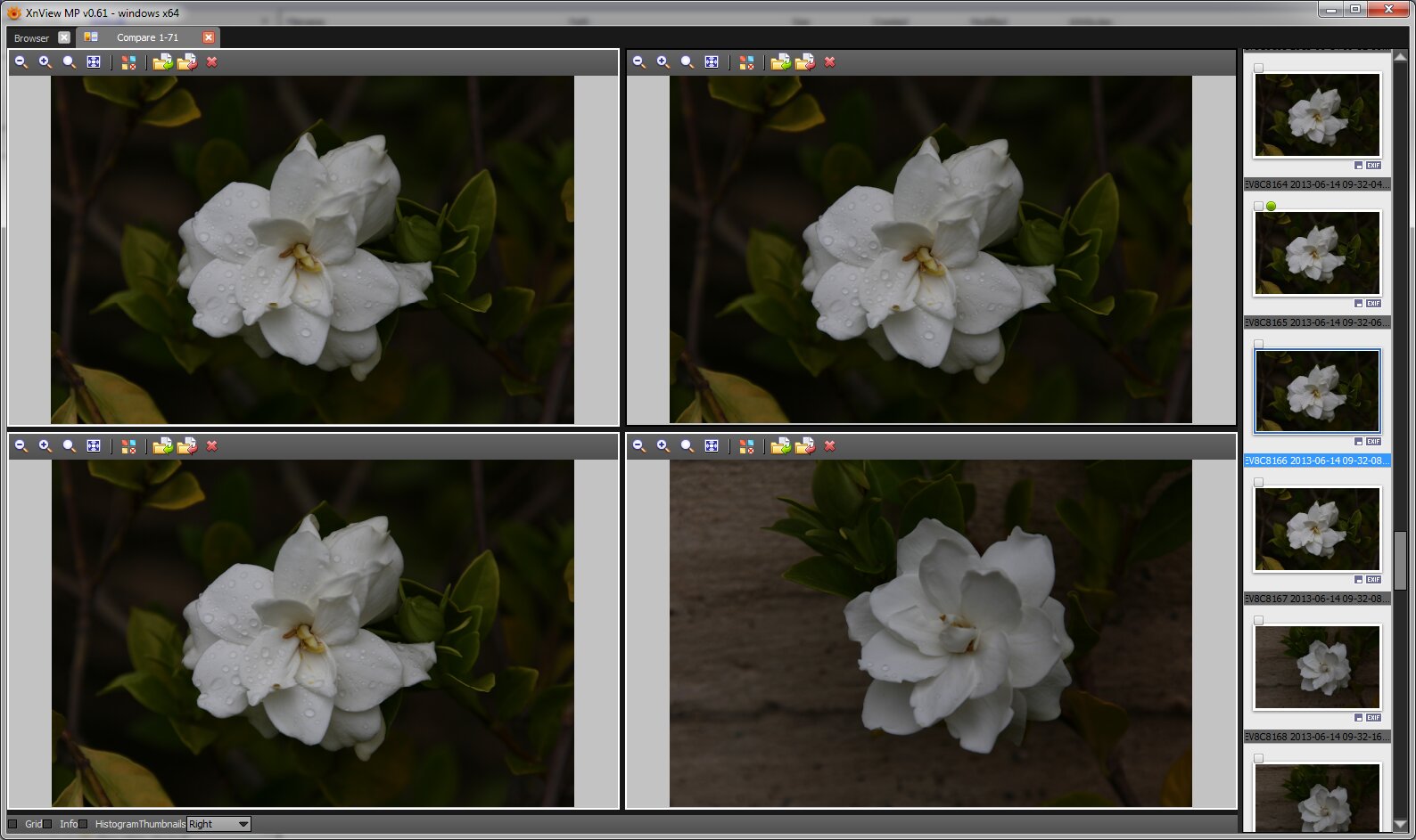 Compare-NoSel Mk2.jpg