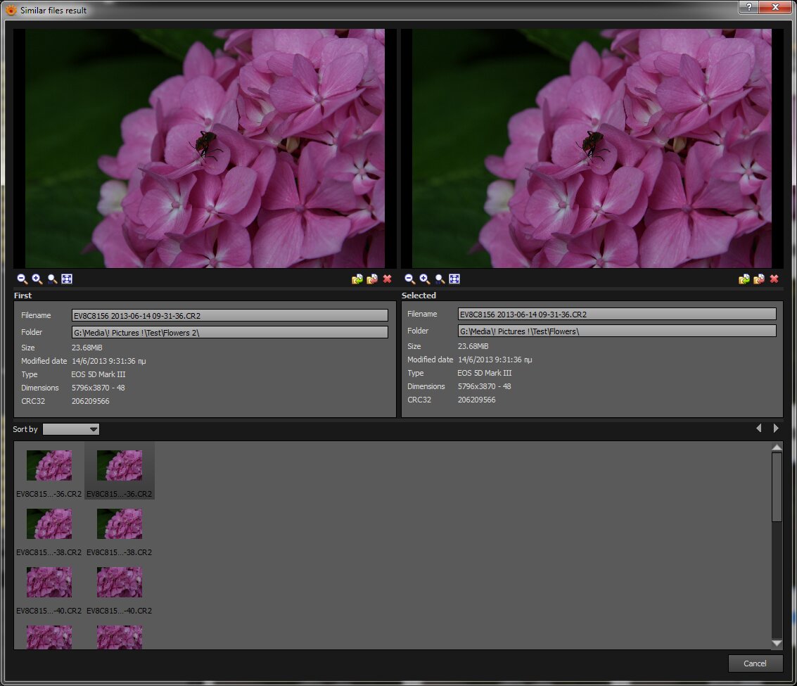 Duplicates-Compare.jpg