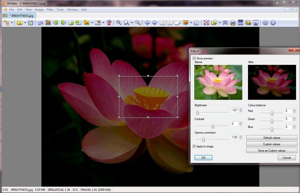 change_selection_on_paletted_image.jpg