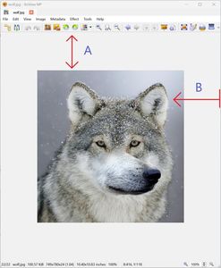 viewer_auto zoom - fit image to desktop.jpg