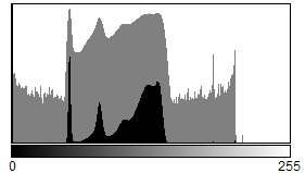 Screen-2024-04-09_11-12-26.png