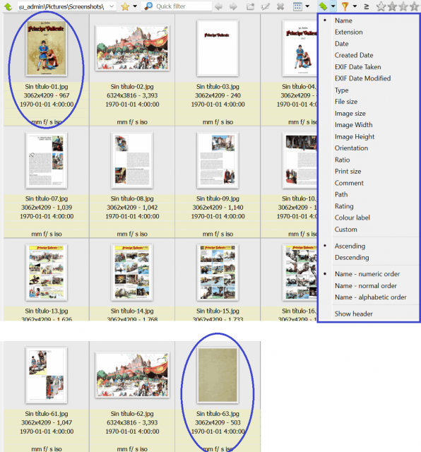 browser_cbr_cbz_sorting.png