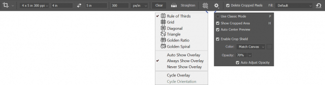 other_apps_ps_crop_panel_selection.png
