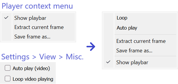 viewer_media_controls_context_menu_video.png
