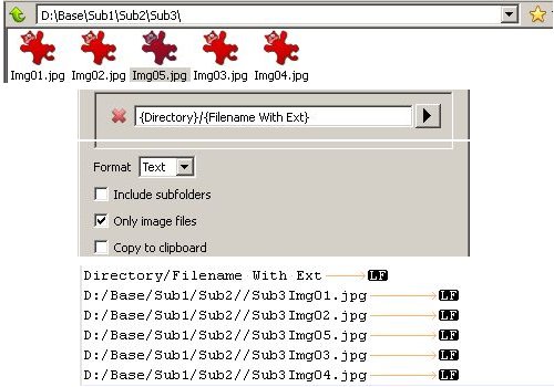 extracts from browser pane, file listing dialog, and resulting text file