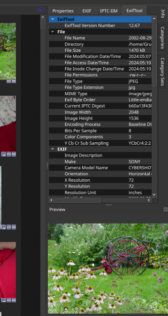 xnview preview below info.png