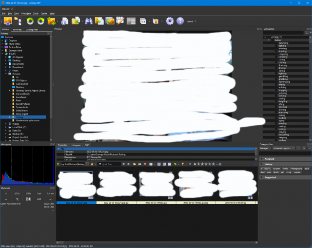20240513 xnview new layout 04 edit 01.png