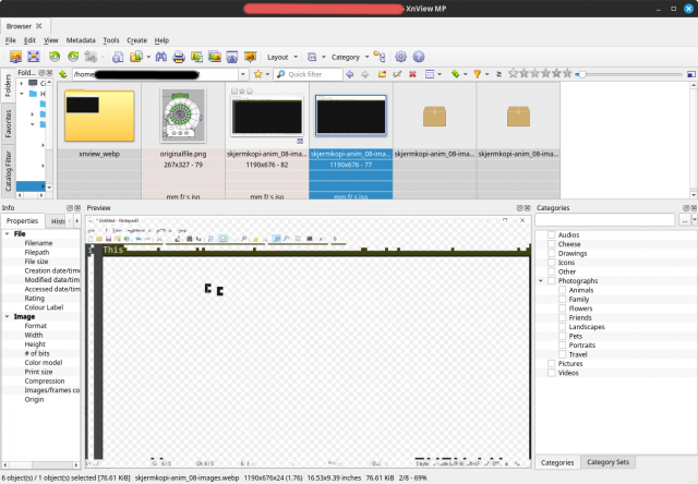 XnView 1.6.2 viewing frame 2 in animated webp in browsing mode