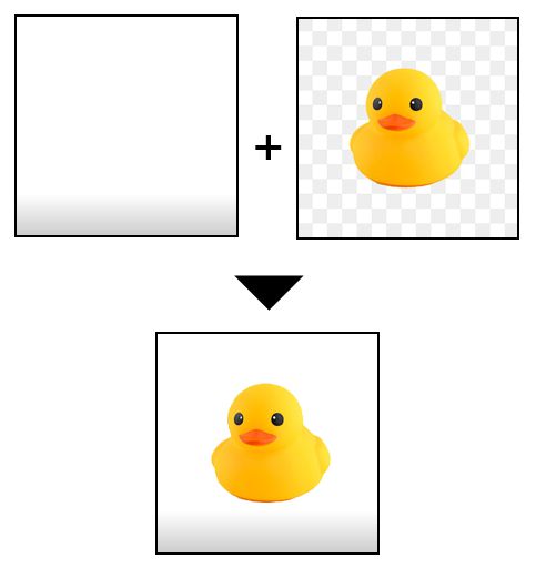duck.jpg